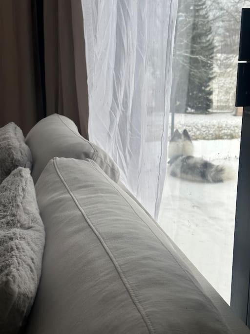 Cosy - 2 Appartamento *